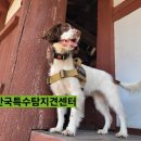 한국특수탐지견센터 이미지