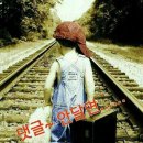 미니맘 Daum카페