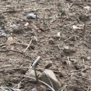 한삼농장 이미지