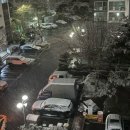 어몽독스 이미지