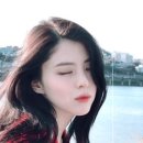 단비헤어 네이버블로그