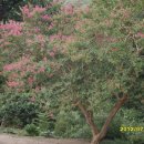 감산2리 이미지