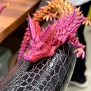 원더플주식회사 이미지