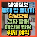 해양레져민박 이미지