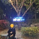지오다노위례 | 하루 꽉차게 썻던 할로윈데이👻/ 위례 롯데시네마 기적 후기/ 잠실 석촌호수 단풍낙엽축제