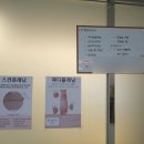 [서울 강서] 발산마곡에서 유지력 긴 노글루 영양코팅 속눈썹펌 후기 : 미뉴앳뷰티