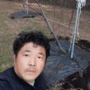 내척농장 이미지