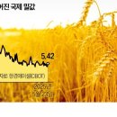 풍년 Daum카페