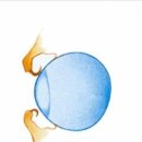 동물병원 이야기 이미지