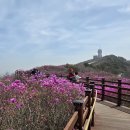 대구 비슬산(1084m)~~2 이미지