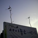 나무와새어린이집 이미지