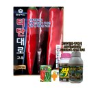 ※ 팜한농 티탄대로 신품종