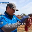 창환농장 이미지