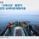 선창가 민박 이미지