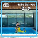 힐스톤애견풀빌라 | 경주 애견동반 풀빌라 펜션 힐스톤 내돈내산