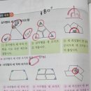 신안초 이미지