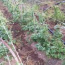 일상의 하루 이미지