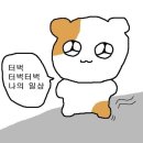 정현엔지니어링 | 3년차 데이터 분석가의 23년 상반기 회고