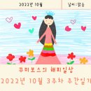 씨유(CU) 서면마이우스점 | 주간일기 챌린지 : 꾸미보스의 10월 3주차 주간일기 , 히히 일주일 뭐 없찌만 !