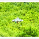 괴시1리경로당 | [스크랩] ＜영덕 블루로드(대소산 - 목은 이색등산로) 도보＞길동무프로그램 후기