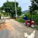 장순농장 이미지