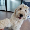 견상낙원 이미지