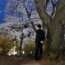 공주문화원 이미지