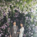 지니어스스튜디오 이미지