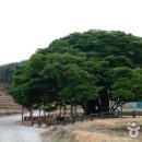 남해-299 이미지