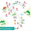 팔영산 자연휴양림 야영장 네이버블로그