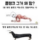 7/3-9