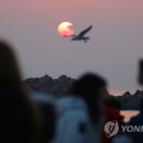 말끔이 이미지