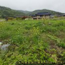 청기와공인중개사사무소 이미지