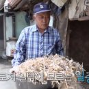 황수만 농장 이미지