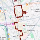 🇭🇰 2박 3일 홍콩 여행