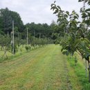 청전농장 이미지