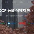 내일행정사사무소 이미지