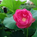 여수마을1 이미지