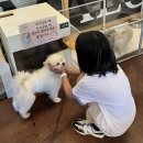 용인 아이랑 가볼 만한 곳, 즐거운 가족 나들이.애니멀클럽 수지점 동물 체험 카페 솔직 후기