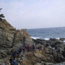 파도의숨결 이미지