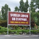 정선 곤드레바다