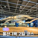 장생포 대왕암 코스 | 실제 다녀온 울산 1박2일 여행코스 추천 대왕암공원에서 장생포까지 알차게