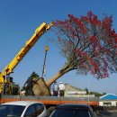 외돌개 나라 이미지