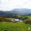 들판의추억목장 이미지