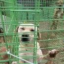 남은농장 이미지