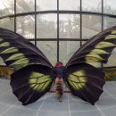 호명입구 이미지