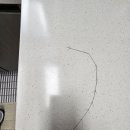 SK보라매뷰아파트 앞 | 보라매SK뷰 싱크대 대리석 크랙 수리 과정과 비용