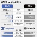 중국판 챗GPT &#39;딥시크&#39; 후폭풍…AI 거품론 무너뜨렸다[딥시크 쇼크①] 이미지