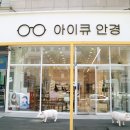 아이큐 안경 이미지