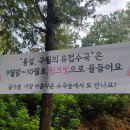 폭싹~속았수다~~ 이미지